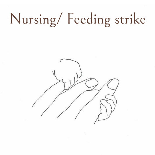 Nursing/Feeding Strike 🍼